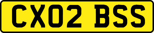 CX02BSS