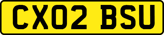 CX02BSU