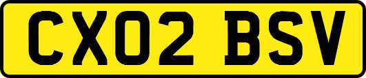 CX02BSV