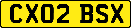CX02BSX