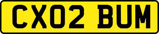 CX02BUM