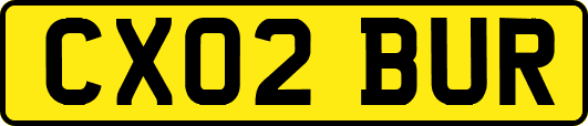 CX02BUR