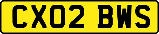 CX02BWS