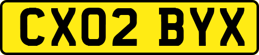 CX02BYX