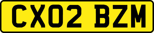 CX02BZM
