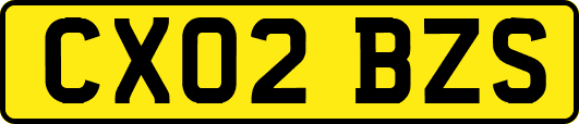 CX02BZS
