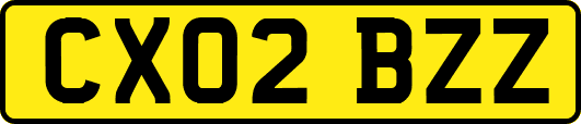 CX02BZZ