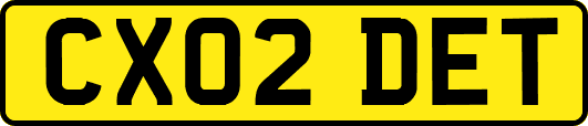 CX02DET