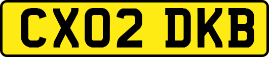 CX02DKB