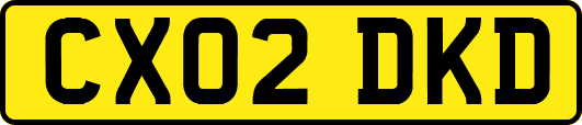 CX02DKD