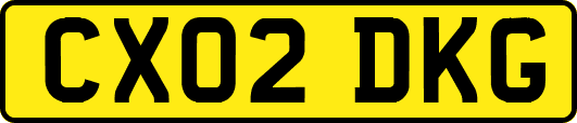 CX02DKG