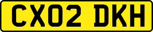 CX02DKH