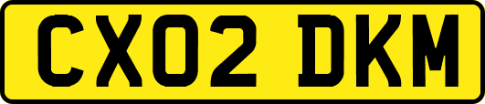 CX02DKM