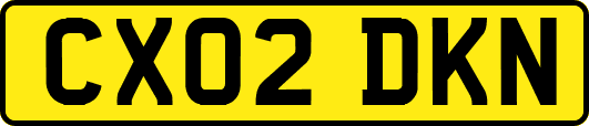CX02DKN