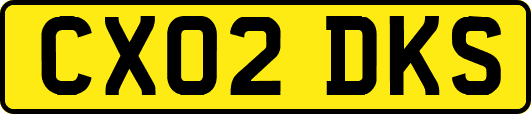 CX02DKS