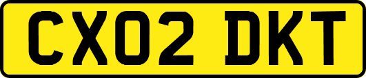 CX02DKT