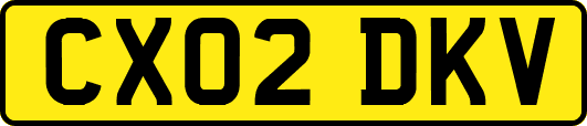 CX02DKV