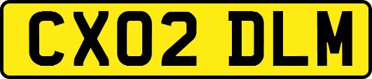 CX02DLM