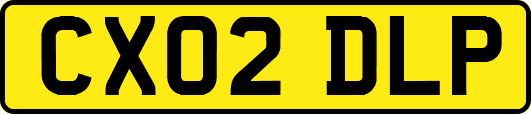 CX02DLP
