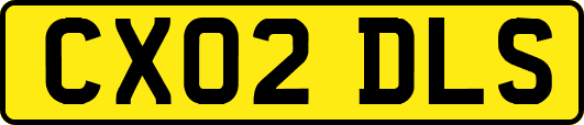 CX02DLS