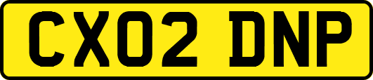 CX02DNP