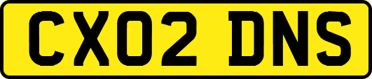 CX02DNS