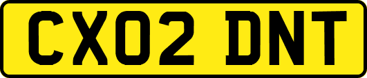 CX02DNT