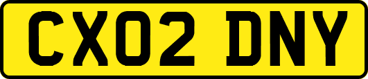 CX02DNY