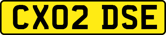 CX02DSE