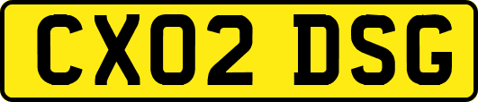 CX02DSG