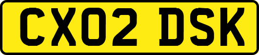 CX02DSK