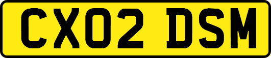 CX02DSM