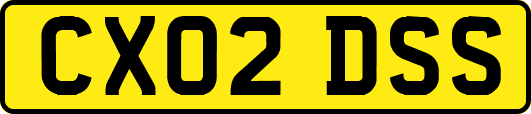 CX02DSS