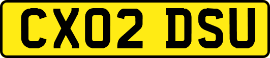 CX02DSU