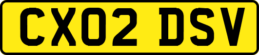 CX02DSV
