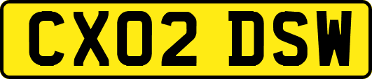 CX02DSW