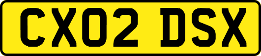 CX02DSX