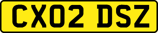 CX02DSZ