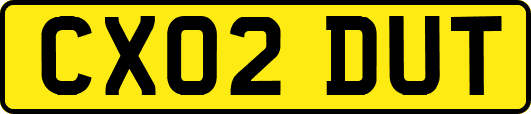 CX02DUT