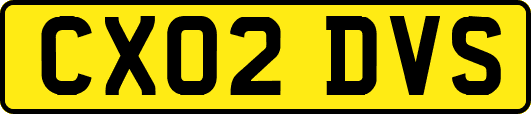 CX02DVS