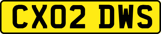 CX02DWS