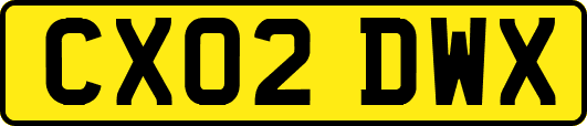 CX02DWX