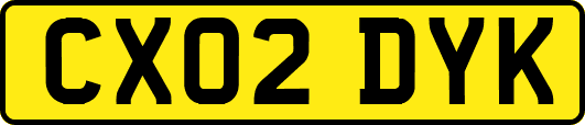 CX02DYK