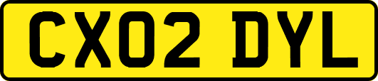 CX02DYL