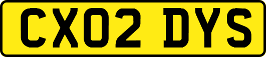 CX02DYS