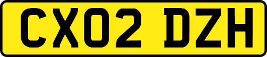 CX02DZH