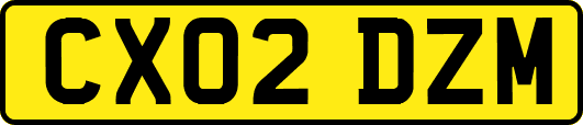 CX02DZM