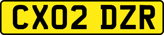 CX02DZR