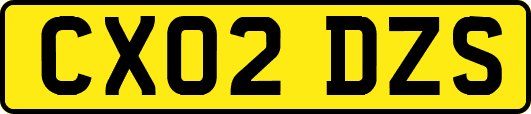 CX02DZS