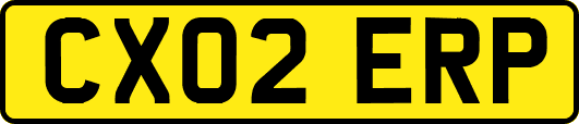 CX02ERP